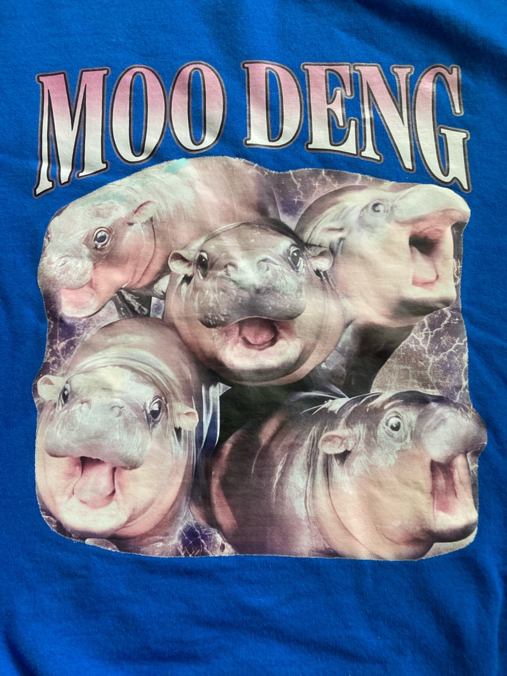 Moo Deng Baby Hippo Sweater Amazing Whimsical Hippo MooDeng